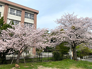 入学式