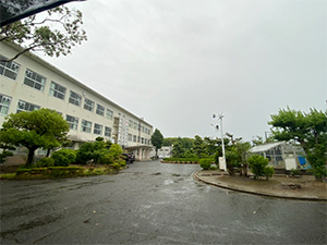 向陽高校