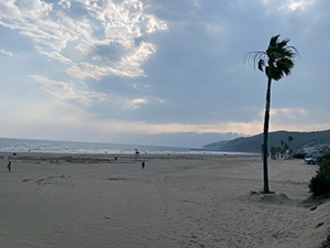 日印交流