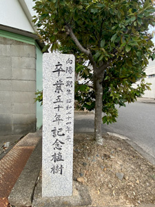 向陽高校