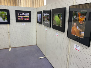 コラボ展