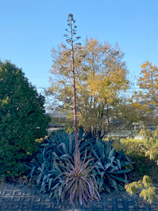 �����E�[�c����