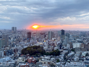 理事会 都内の景色
