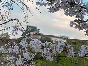 マイアミとの交流