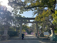 �a�̎R�p�썑�_��