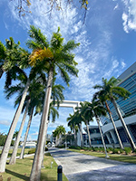 ���[���f�|�p�[�N