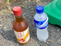 �җ��� �y�b�g�{�g����������